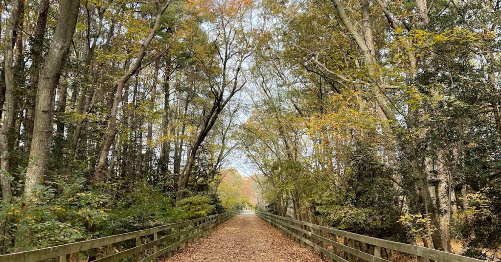 Resolvemos tu deuda en ,  Delaware