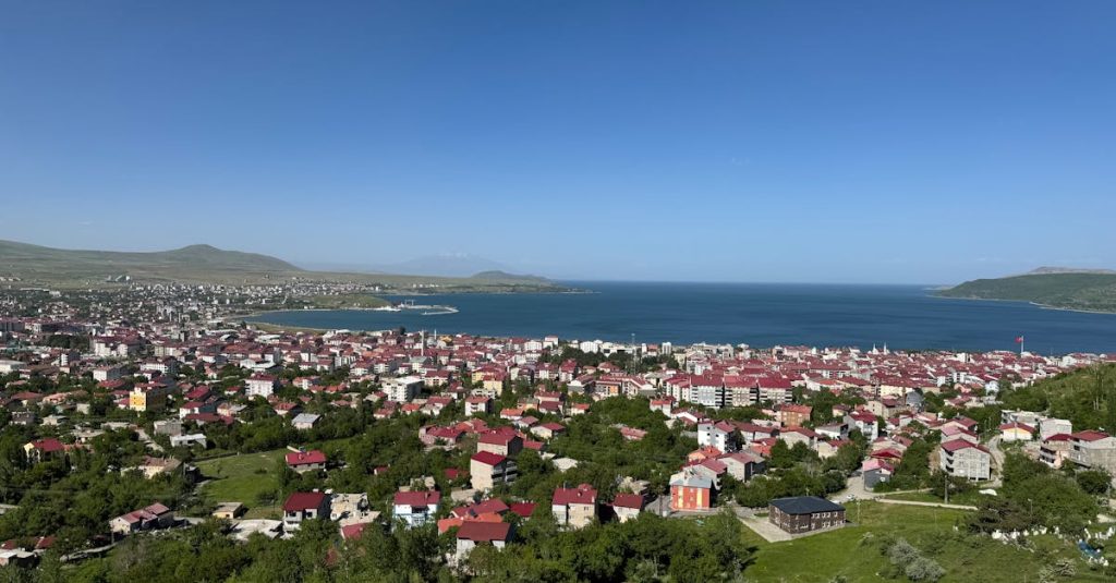 Bilal Görgü