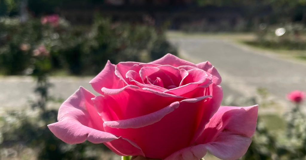 Sudeep Kumar
